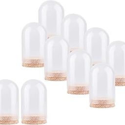 THE STYLE SUTRA 10Pcs Display Dome with Base Collectibles Dustproof Display Case Glass Dome-picture-1