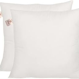 Home-The Best is for You Micro Fiber Cushion Insert Extra Soft, White (Pack of 2, 20x20 Inch)-15
