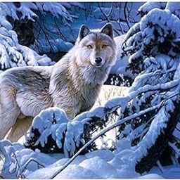 CLUB BOLLYWOOD LICHTS®1 Set DIY Diamond Picture with Crystal Painting Kit Hand Craft Snow Wolf|Crafts | Needlecrafts & Yarn | Embroidery & Cross Stitch | Hand Embroidery Kits | Cross Stitch Kits-picture-15