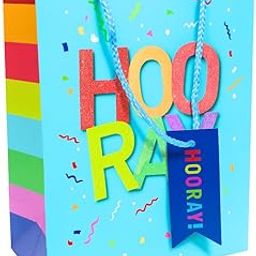 Hooray Paper Gift Bags – Large Size – Set of 3 | Multicolour Celebration Print with Rope Handle for Return Gifts & Party Use-image-101