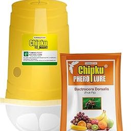 Chipku Fly Magnet Trap Useful in Mango, Papaya, Sapota, Guava, Pomegranate, Sweet Fruit (3 Trap with 3 Fruit Fly Lure) - Pack of 3-25