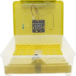 Ndeal | 48 Egg Capacity Automatic Egg Incubator with Led Display Hatching Chickens, Ducks, Geese, Poultry, Quail, Parrot, Pigeons Birds, 80 Watt-picture-11