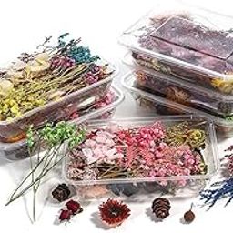 SNOOGG Resin Art Essential Moisture Less Random Real Dried Flower Resin Mould Fillings for Epoxy Resin Molds Jewelry Making Craft DIY Accessories (3)-image-82
