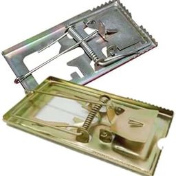 Future World Rat Killing Machine - Pack of 2, Mouse Snap Traps/Rat, Mouse Killing Machine-image-4
