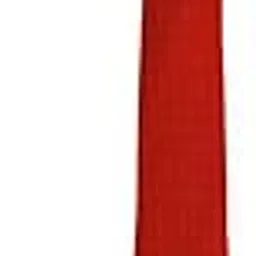 peter england Men Red Tie-picture-28