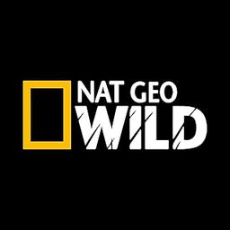 2pcs NAT Geo Wild Sticker for Car & Bike White Car Stickers National Geographic Sticker-27