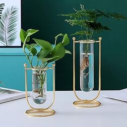 Desktop Glass Planter Hydroponics Vase Glass Propagation Station With Modern Creative Geometric Metal Frame Test Tube Vase For Home Office Decor Table Top (Set Of 2), Blue-image-65