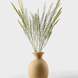 Natural Dried Green Branches - Long Real Stems for Vases - Rustic Home Decor, DIY Crafts, Wedding & Party Decor, Office & Living Room Decoration (Pack of One )-image-2