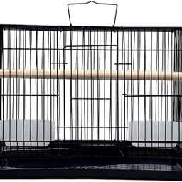 Hara Enterprises 1.25 Feet Black Bird Cage with Accessories, 38 x 28 x 28 cm, Bite Resistant, Non-Slip Tray, Food Bowl and Water Box Included-image-92