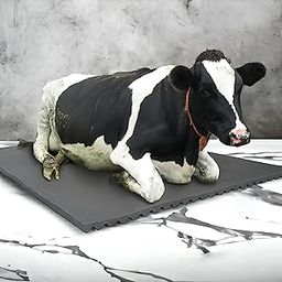 DIVAYANSHI Waterproof Cow mat, BPA Free, Raised Edges Animal Feeding mat for Cow, Buffalo, Horse, Camel, Bull, Easy Clean, Dishwasher Safe(Premium A1 Quality, Black) Size 8×5-17