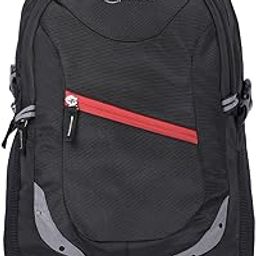 Amazon Basics Laptop Backpack | 15.6 inches | Water Resistant Polyester | Ideal for Office College School Travel (Diagonal)-10