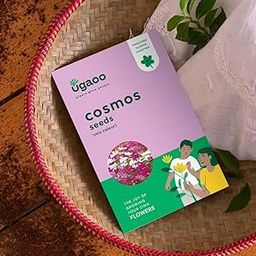 UGAOO Cosmos Flower Seeds (Purple and White, Pack of 100)-image-37