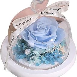 VELURA Handmade Romantic Preserved Rose Glass Dome Birthday Gift Present Home Decor blue|1 Piece Glass Dome Forever Rose.| Home Decor|Home & Garden-image-45