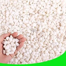 Natural Pebbles Stones for Garden Flowerpot Aquarium Decorative (1KG, White)-image-79
