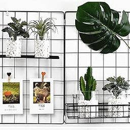 Franklite Iron Square shape hanging Grid frame for home Decoration, wall, photog, collage photo, key, as per your requirement (30x 30 cm) 1pcs Frame (Black)-10