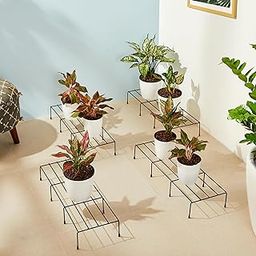 Amazon Brand - Solimo Metal Plant Stand (Set of 4, Black) – Powder-Coated Iron, Heavy-Duty, Corrosion-Resistant, Indoor & Outdoor Use, 20×59×10 cm, Holds up to 32.5 kg-image-28