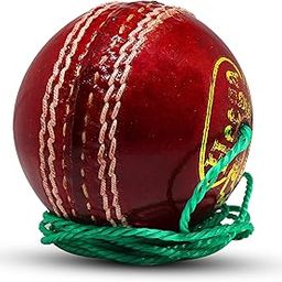Heega ™ Practice Hanging Cricket Ball (Knocking Ball)-image-44