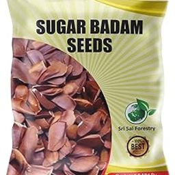 SRI SAI FORESTRY Sky Sugar Previously_frozen Fruit Seeds For Diabetics 100 Grams|Thenkani Seeds-image-25