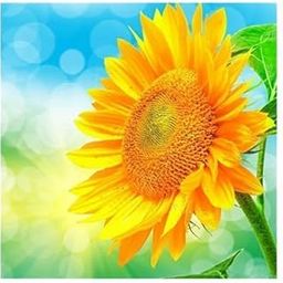 TRENDYNEST® 2xDIY Diamond Painting by Number Kit Full Drill Round Rhinestone Sunflower B | Crafts | Needlecrafts & Yarn | Embroidery & Cross Stitch | Hand Embroidery Kits | Cross Stitch Kits-image-69