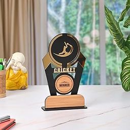 GKD Wooden & Acrylic Cricket Trophy | 9.5 x 6 Inches | Cricket Sports Award for Sports Day, School, College, Events | Sports Winner Trophy-picture-19