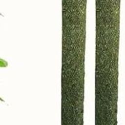 TGH Garden Hub Go Organic Moss Stick with Bamboo Base, 3 FEET, Plant Support, 1 Piece-20