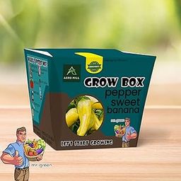 Organic Pepper Sweet Banana Grow Box/KIT | Includes Large Pot,Potting Mix,Seeds,Scraper Tool,Root-O-Shoot,Plant NUTRIFIER,Bug Deterrence Powder,Perfect for Home Kitchen Garden & Gifts-image-69