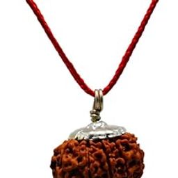 PANDIT NM SHRIMALI Certified 10 Mukhi Rudraksha/Ten Faced Rudraksha Pendant Original Rudraksha Locket (Color : Brown)-image-41