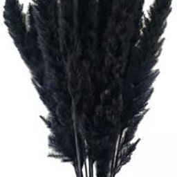ATORSE 60x Dried Pampas Grass Phragmites Reed Flower Bunch Home Wedding Decor Gift|Home & Garden|Home D?©cor|Floral D?©cor-image-87