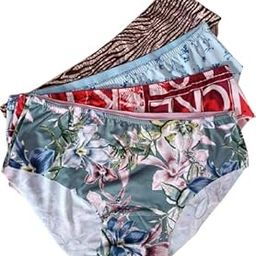 Women's Seamless Hipster Ice Silk Panty Assorted Colour Mid Waist Panty Regular All Day Comfort Pack of 4-picture-26