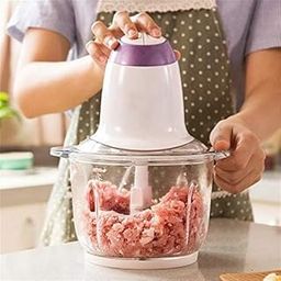 DJIVAN Electric Meat Grinder with ABS Stainless Steel & Glass | Versatile Fruits & Vegetable Chopper and Fillings Maker-picture-12