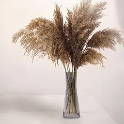 HAMLET® Natural Dried Premium Pampas Grass 6pcs Grass uses in Decoration of Homes, Weddings etc.(45cm)-image-60