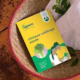 UGAOO Chinese Cabbage Vegetable Seeds (Green, Pack of 800mg)-image-103