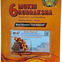 Original Indonesia 6 Mukhi Rudraksha with Silver Cap – Certified Natural Bead Pendant – Enhances Willpower, Confidence & Focus – Lab Tested for Authenticity-picture-7