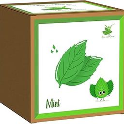 Sow and Grow Easy DIY Gardening Kit of Mint Herb (Grow it Yourself) for Home and Kitchen Garden, Best Kids Birthday Return Gift-picture-28