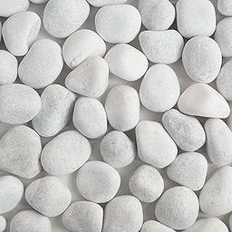 Foodie Puppies Unpolished White Stone (2Kg, Large) (5cm-7cm) for Aquarium/Fish Tank, Garden, Swimming Pool, Pots, Home, Garden, and Lawn Decorative Pebbles/Marble-28