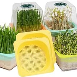 LUVCOSY 6 Pack Clear Microgreens Trays with Plastic Humidity Dome, BPA Free Sprouting Tray, Reusable Seed Starter Tray for Growing Cat Grass, Broccoli, Bean Sprouts, Wheat Grass & More-12