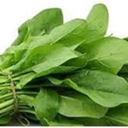 Premium Herbs Palak Seeds (Spinach) Seeds (Op) | Sow and Grow Fresh Healthy Seed in Your Garden Perfect for Home & Terrace Gardening High Germination Seeds-image-36