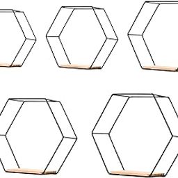 ARTISOUL® 5Pcs Hexagon Iron Wall Shelves Storage Rack for Picture Mini Planter Display Black | Furniture | Bookcases-image-85