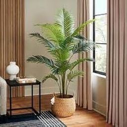 24 hours oxygen giving indoor plants Natural Live A Big Size "Areca Palm" Tree (Pack of 1 With pot) || For Home Garden Tree Outdoor indoor plant-image-4