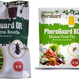 OR Lure for Rhinoceros Beetle - Agriculture Use, 50-60 Days Life,Pack of 5 | & | BC Combo Pack Pheromone Lure for Bactrocera Cucurbitae Glass Trap, Pack of 5-83
