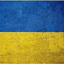 CLUB BOLLYWOOD® Ukraine 90X150Cm Ukrainian National for Holiday Yard Decoration Style 3|Home & Garden | Yard, Garden & Outdoor Living | Garden D?©cor | s|1 Piece Ukraine-image-21