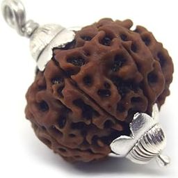 Rudrarise Genuine & Real 7 Mukhi Rudraksha Original Certified by Lab Outstanding Nepali Rudraksh AA++ Quality 7 Face Ruthratcham for Men & Women सात मुखी रुद्राक्ष नेपाली-image-29