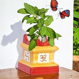 ecofynd 5 inches Tulsi Ceramic Plant Pots, Flower Pot with Drainage Hole, Decorative Modern Indoor Planters, Home Garden Decor for Living Room Bedroom Interior (Yellow,CPOT016)-12