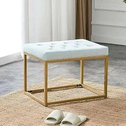 Arantique HUB Rectangle Ottoman Bench,Velvet Upholstered Chair with Golden Metal Frame,Makup Stool Padded Bench Chair Leisure Footstool for Bedroom -Grey (White)-image-36