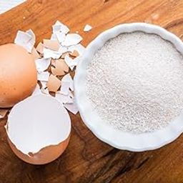EGG SHELL POWDER (2 KG) FOR PLANT FERTILIZER PURPOSES IN RICH CALCIUM CONTENT - IT STIMULATEES THE PLANT ROOT GROWTH|| MSV ORGANICS-image-55