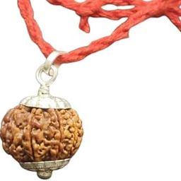 8 मुखी रुद्राक्ष 8 Mukhi Rudraksha Original Certified Nepali Big Size 8 Face Nepal Natural Aath Mukhi Rudraksh Nepali Beautiful Pendant आठ मुखी नेपाल रुद्राक्ष For Wearing-26