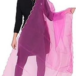 Women's Organza Fabric Cut-Work Border Dupatta-picture-53