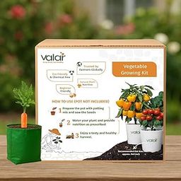 Valar Orange Carrot Growing Kit | DIY All-in-One Home Gardening Set (Pack of 1 - Big) | Organic Seeds + Bio-Fertilizers + 24x7 Support (No Pot/Grow Bag)-image-107