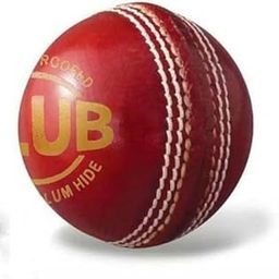 20 Over Two-Piece Water Proof Cricket Leather Ball, Regular Size (Red)-image-24