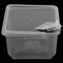 SAZ DEKOR® Reptiles Terrariums Feeding Box for Spider Insect Cricket Snail Frog L-image-42